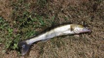 IMG_20220903_212115.jpg
