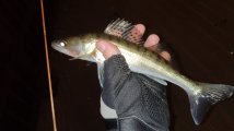 IMG_20220903_221312.jpg