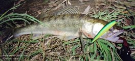 IMG_20220905_003722.jpg