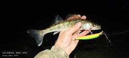 IMG_20220905_013111.jpg