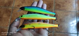 IMG_20220905_130353.jpg