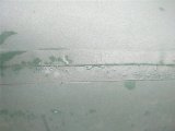 IMG_20220911_092958.jpg