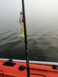 IMG_20220911_064715.jpg