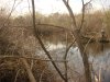 DSC05473.jpg
