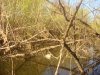 DSC05497.jpg