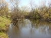 DSC05498.jpg