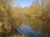 DSC05499.jpg