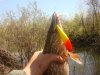 DSC05500.jpg