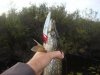 DSC00905.jpg