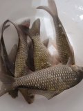 20220909_173816.jpg
