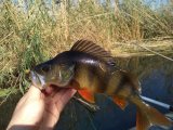 IMG_20220917_094111.jpg