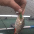 IMG_20220920_123317.jpg