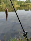 IMG20220909093102.jpg