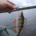 IMG_20220922_103645.jpg