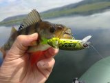 P_20220716_103851.jpg