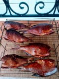 IMG_20220924_144251.jpg