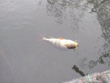 IMG_20220924_105848.jpg
