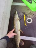 IMG_20220926_104548_790.jpg