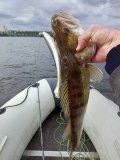 IMG_20220926_124919_821.jpg