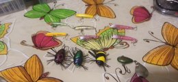 IMG_20220926_215452.jpg