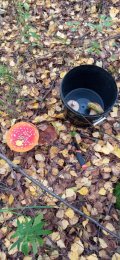 IMG_20221008_140830.jpg