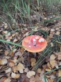 20221008_083723.jpg