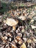 20221008_124045.jpg