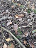 20221008_152959.jpg