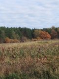 IMG_20221008_110139.jpg