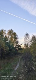 IMG_20221008_171035.jpg