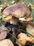 thumbnail_IMG_9440.jpg