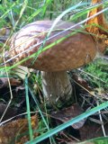 thumbnail_IMG_9444.jpg