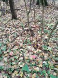 IMG_20221008_092225.jpg