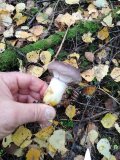 IMG_20221008_094428.jpg