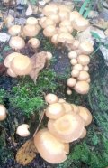 IMG_20221009_100838_0.jpg