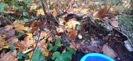 20221009_082707.jpg
