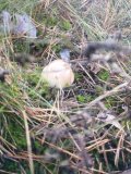 IMG_20221009_104118.jpg