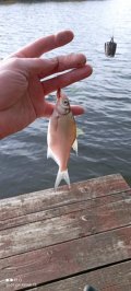 IMG_20221009_090556.jpg