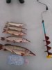 IMG_20131228_163205.jpg