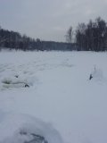 IMG_20220129_150844.jpg