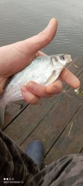 IMG_20221022_083525.jpg