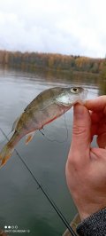 IMG_20221022_100326.jpg