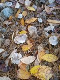 IMG_20221025_122400_233.jpg