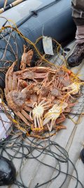 IMG-20220817-WA0010.jpg