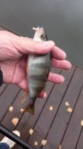 IMG-20221029-WA0014.jpeg
