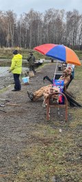 IMG-20221029-WA0036.jpg