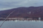DSC08654.jpg