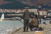DSC08646.jpg