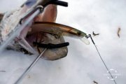 DSC06189.JPG