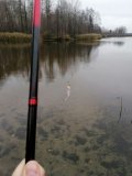 IMG_20221105_132354.jpg